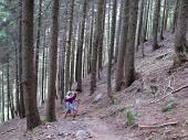 02 Bosco di abeti e larici